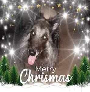 Meet your Posher, Barbara